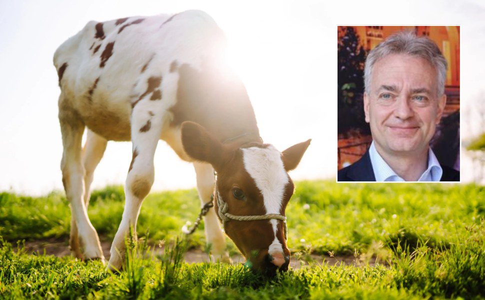 Benessere animale - assessore gianluca gallo