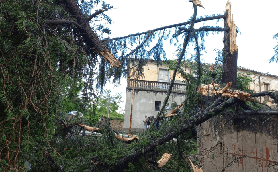 Progetto senza titolo 2