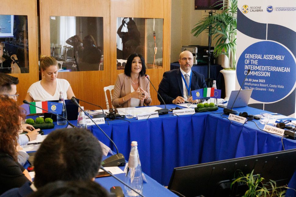 assemblea generale intermediterranea