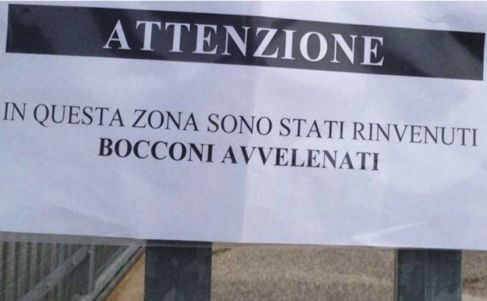 bocconi avvelenati