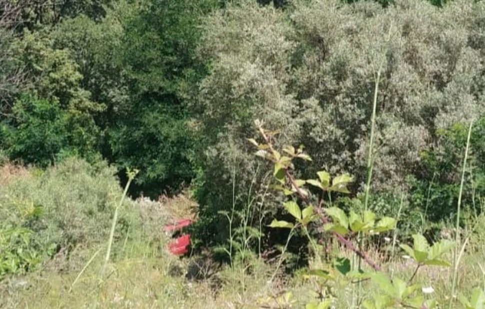 Sbanda con l'auto e precipita in una scarpata: 87enne ferito 51 Incidente Caulonia