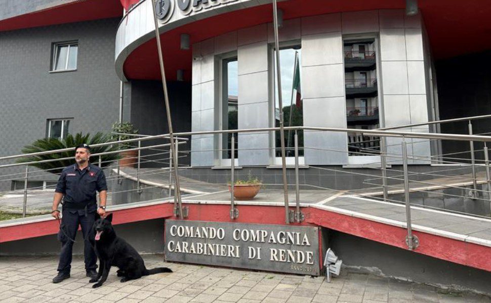 carabinieri rende - unita cinofila Black