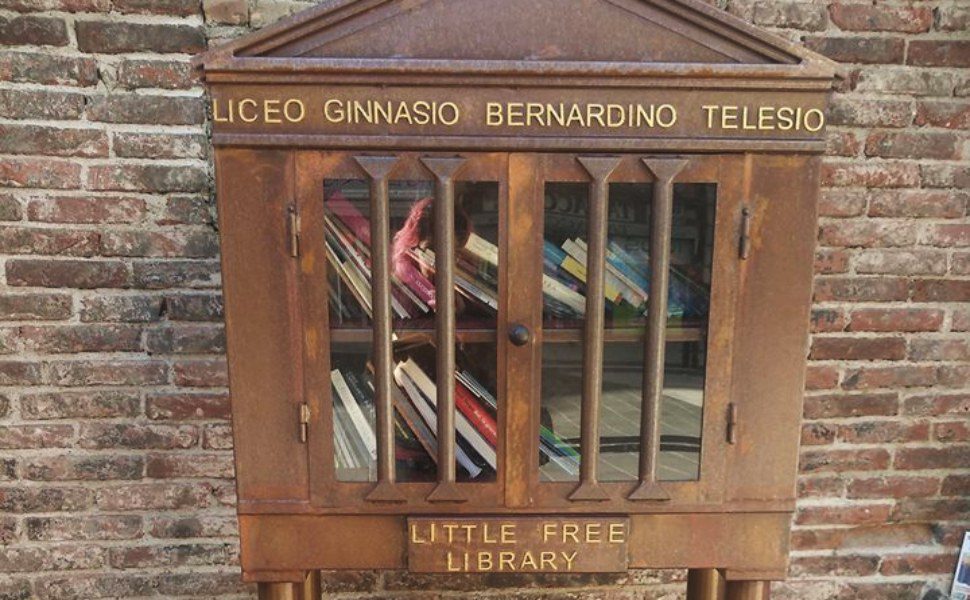 Little Free Library Telesio