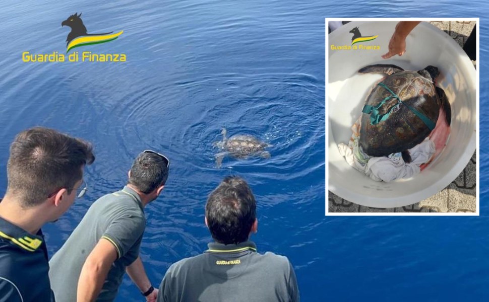 paola-tartaruga-salvataggio guardia finanza