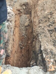 radici marina paola 2