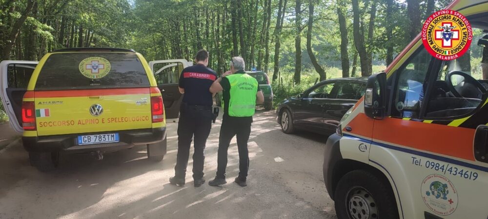 384cdd3b 8f6c 49f0 9452 a11618b7d78a scaled