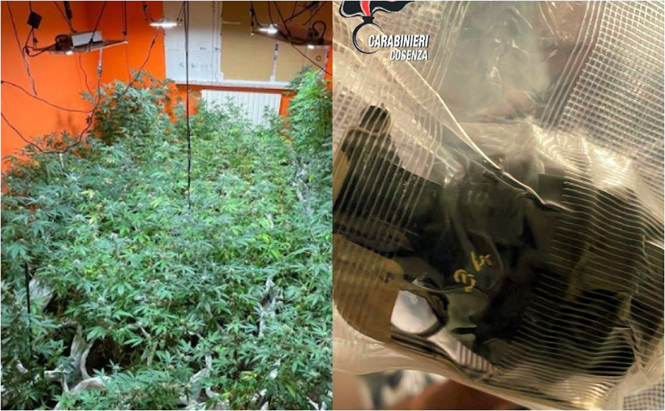 Carabinieri Mendicino sequestro droga e bomba a mano