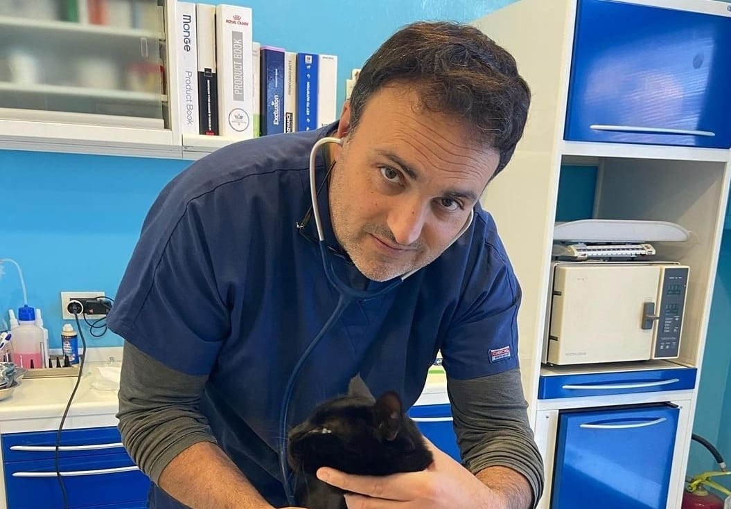 Caldo rovente in Calabria, un pericolo anche per la salute di cani e gatti. I consigli del veterinario 58 Dottor garofalo