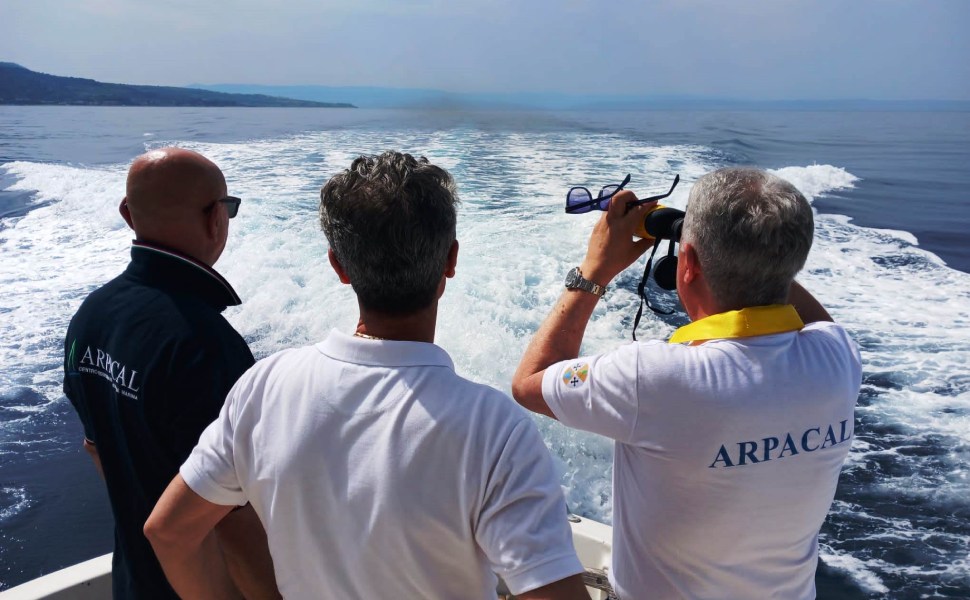 Errigo - arpacal - mare