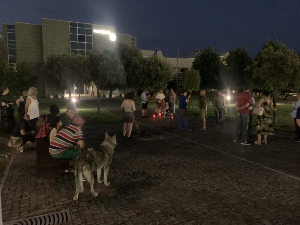 Il funerale degli alberi tagliati, a Rende flash mob delle associazioni 77 Flash mob Rende scaled