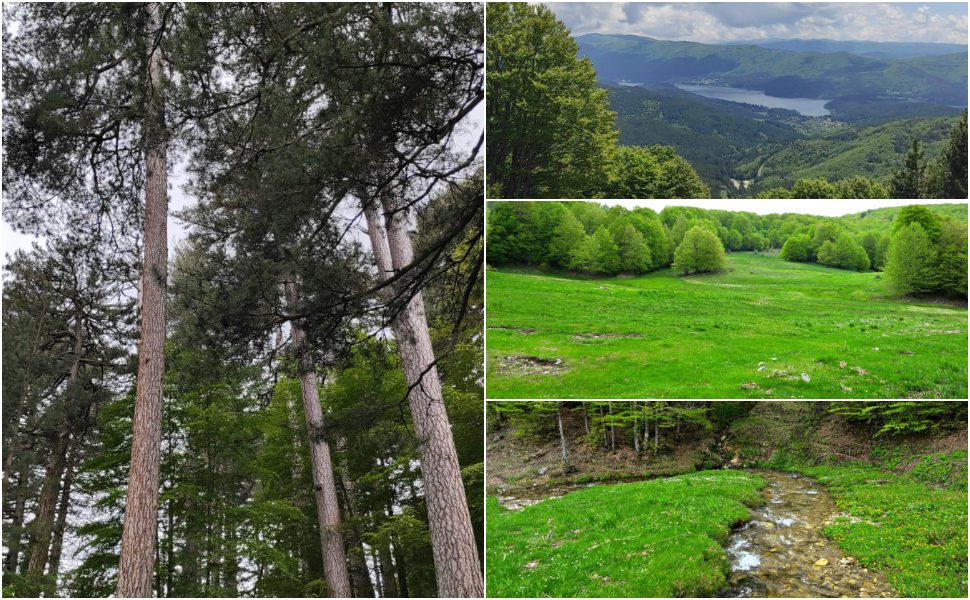 I sentieri della Sila