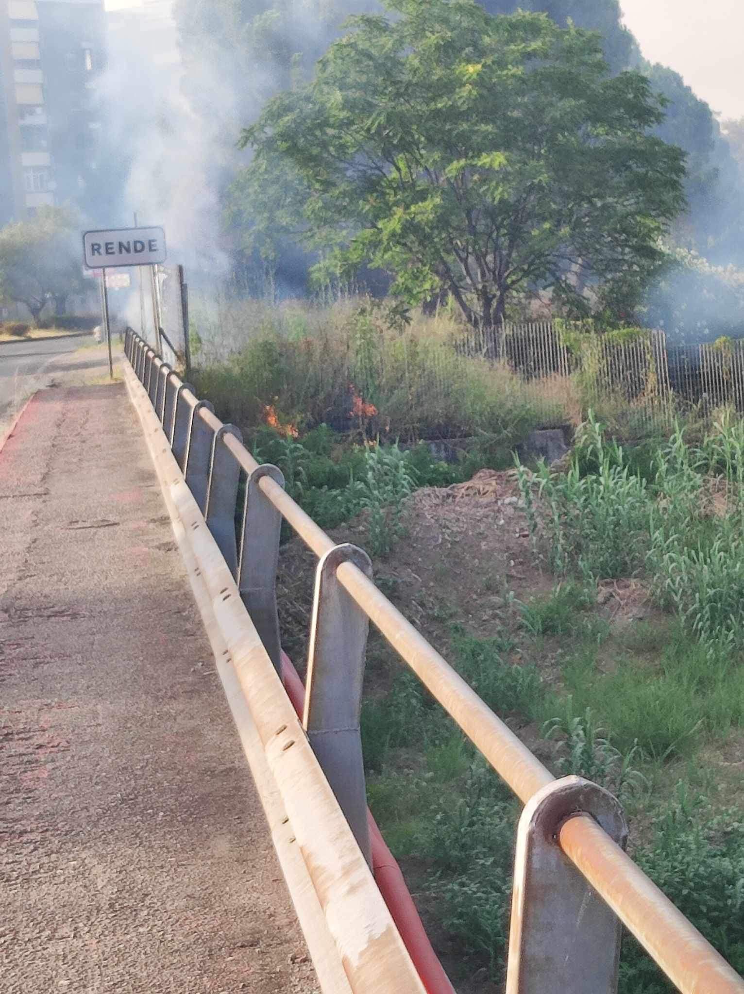 Bruciano le colline tra Rende e Marano. Treni bloccati sulla linea ferroviaria di Paola - FOTO 60 Immagine WhatsApp 2023 07 25 ore 19.10.13