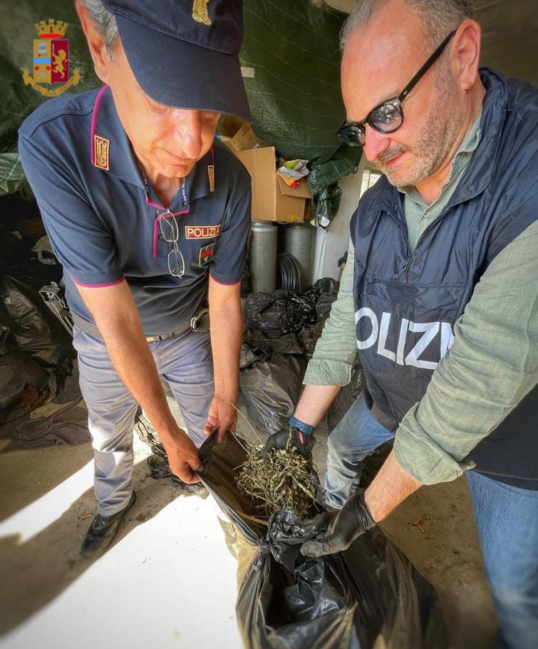 Luzzi capannone marijuana polizia 04