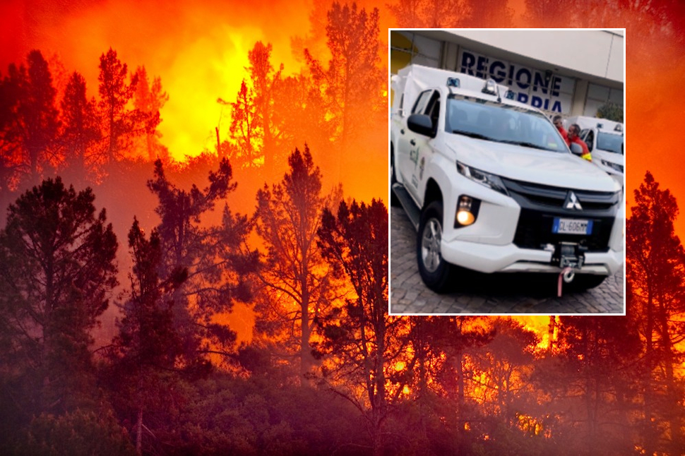 Roghi mezzi Calabria verde