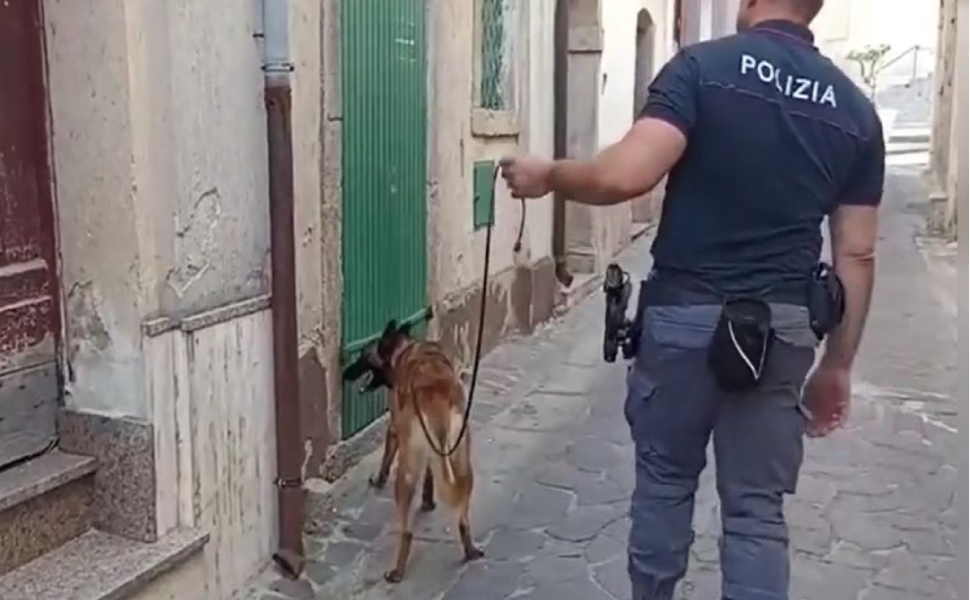cane poliziotto