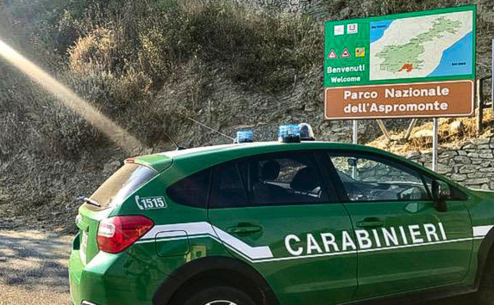 carabinieri forestale parco aspromonte