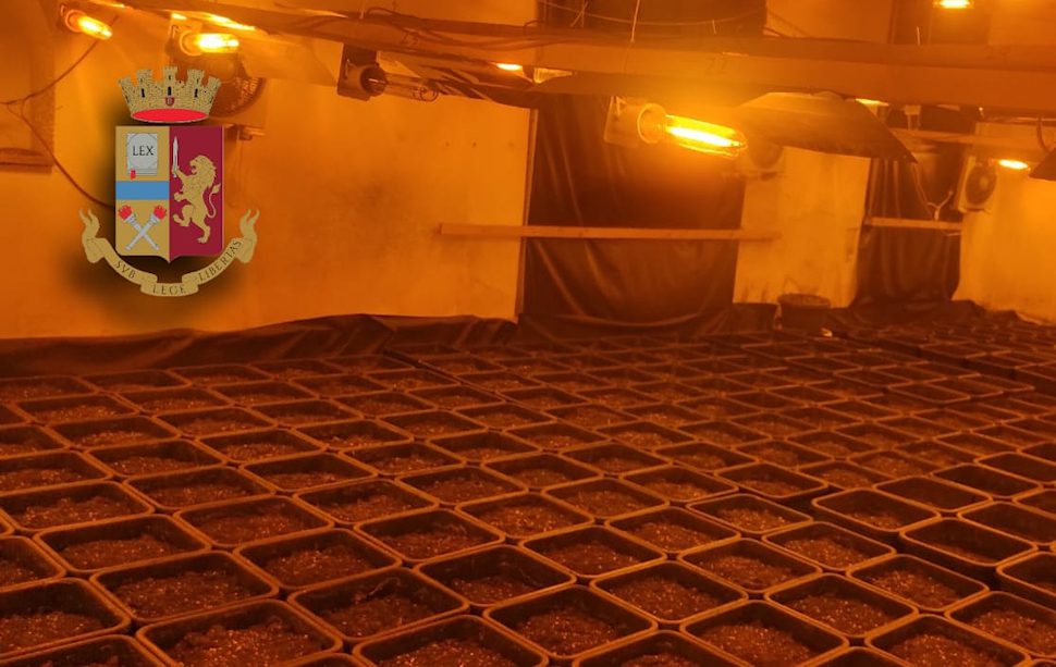 droga capannone blitz Questura Cosenza_01