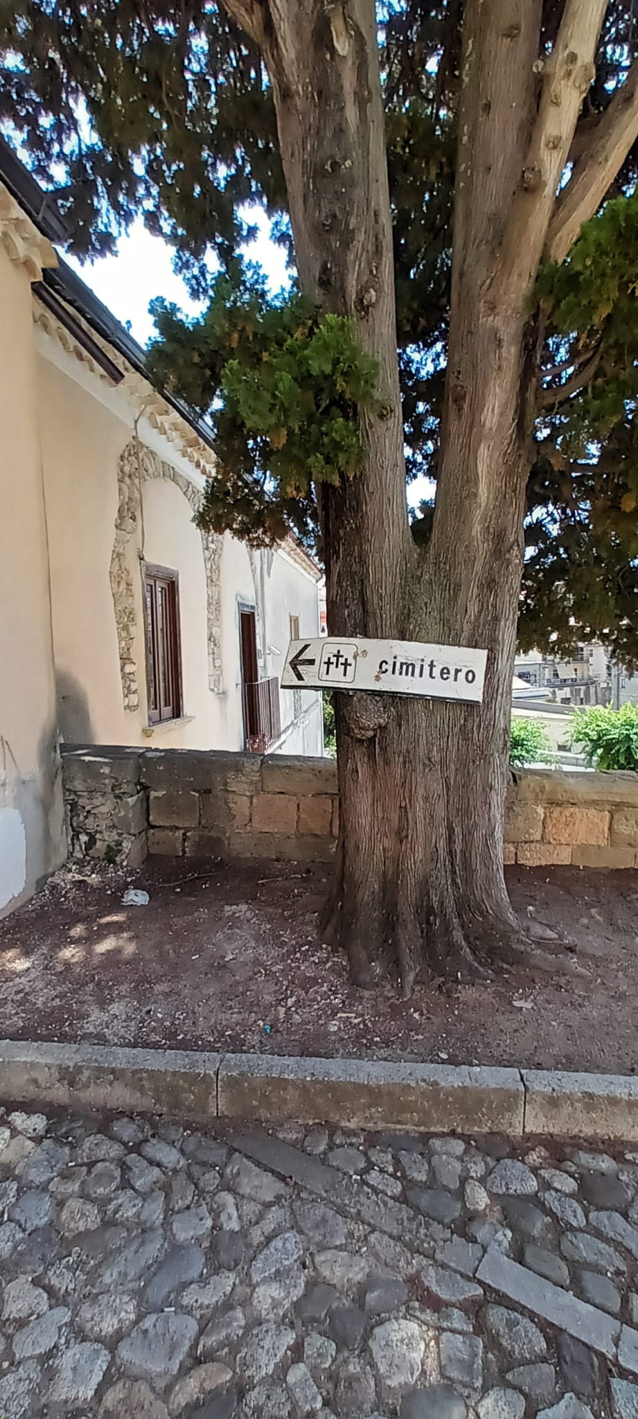 San Lucido, l'insegna del cimitero affissa fuori dal Municipio: «vile atto intimidatorio» 57 f85c438f f537 403c a282 cceaf58e1fd3