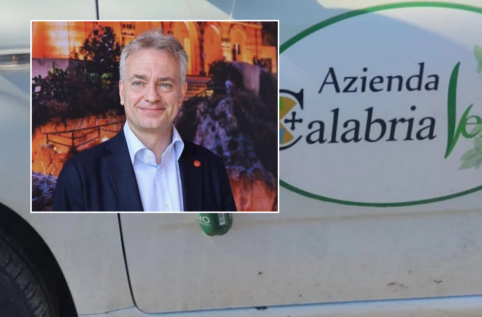 gallo Calabria verde