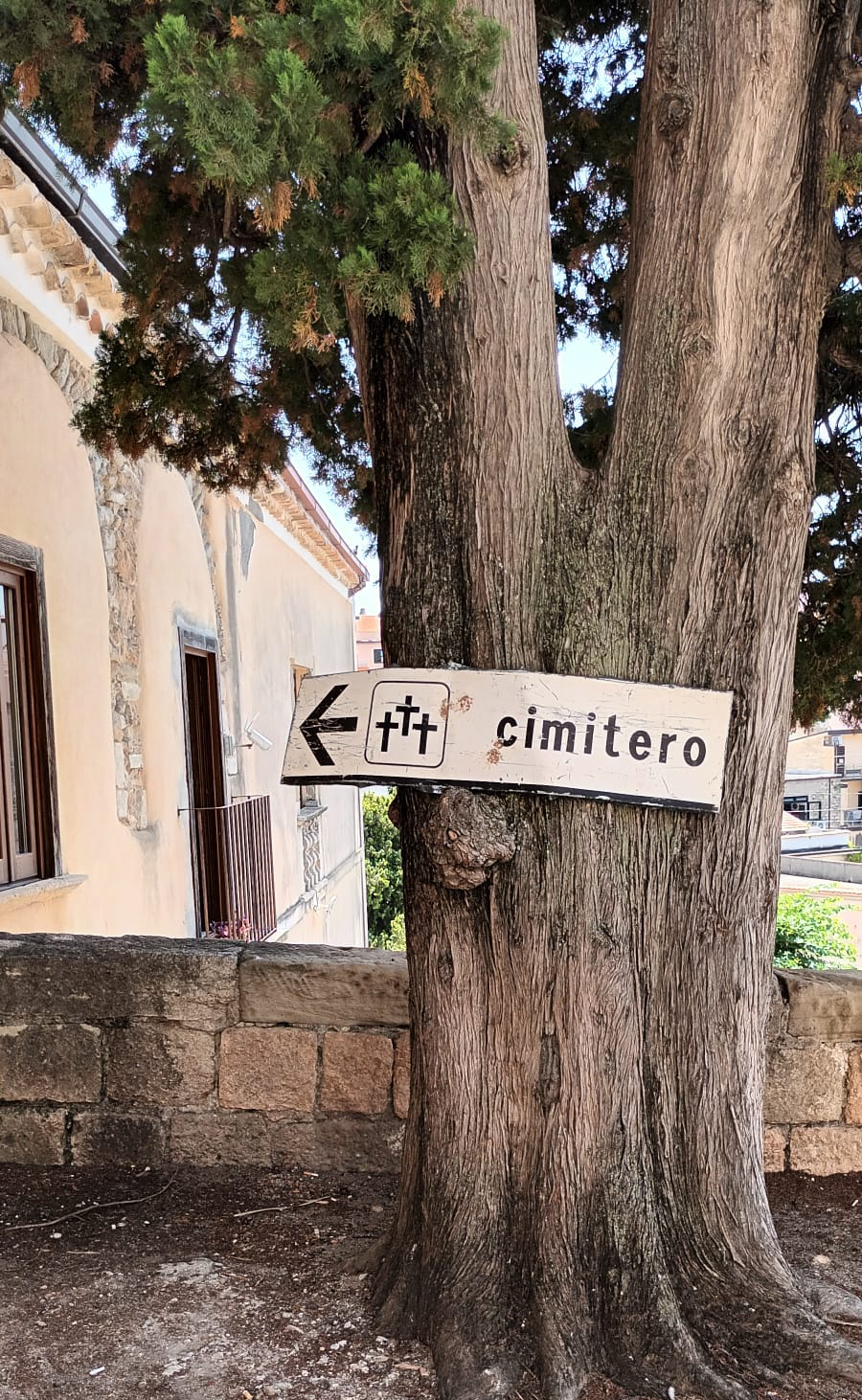 San Lucido, l'insegna del cimitero affissa fuori dal Municipio: «vile atto intimidatorio» 56 insegna comune san lucido