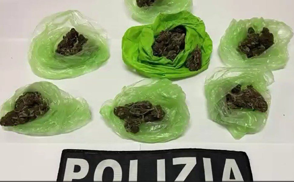marijuana 60 grammi vibo domiciliari