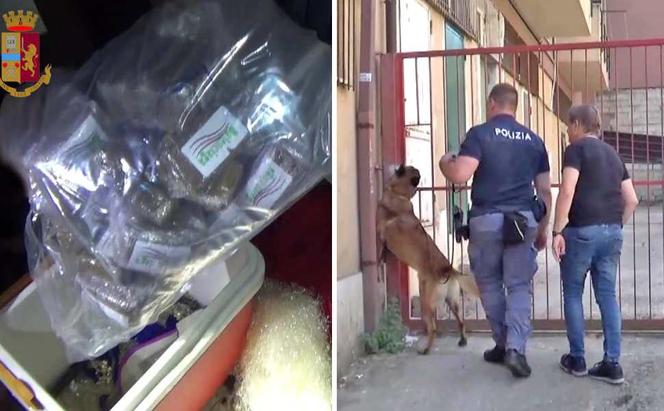 polizia arresto donna cosenza 5 chili hashish