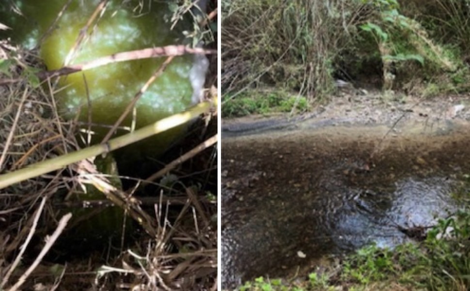 Cosenza: scarico inquinante con fuoriuscita di liquame nei pressi dello stadio San Vito 53 scarico abusivo stadio san vito cosenza
