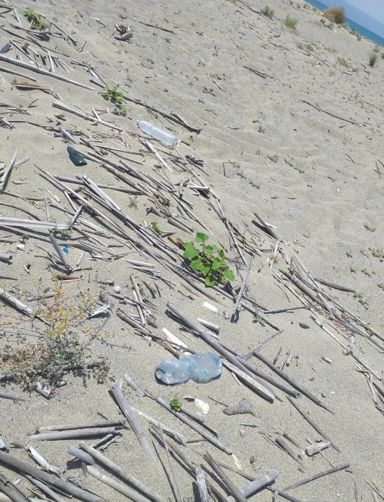 spiaggia ex sir lametino