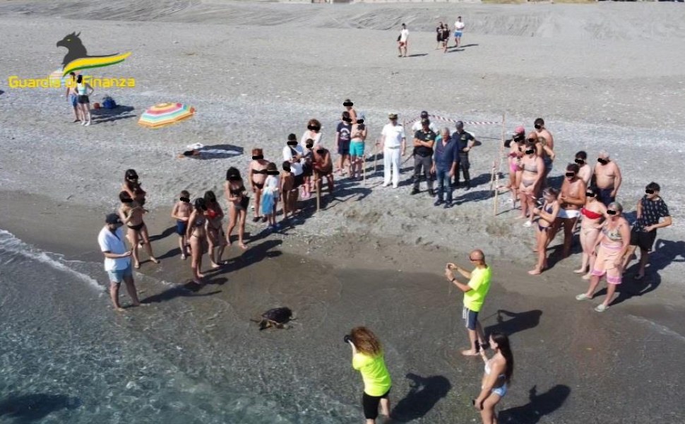 tartaruga venus liberata mare cs 01