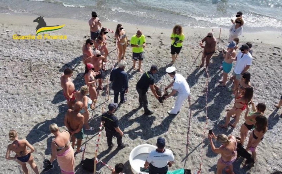 tartaruga venus liberata mare cs 02