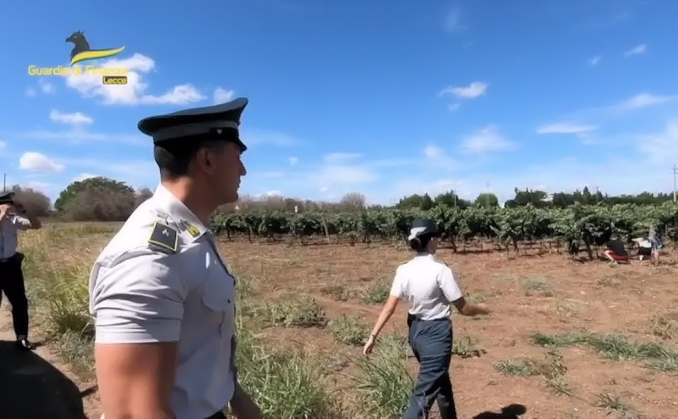 Falsi Braccianti agricoli