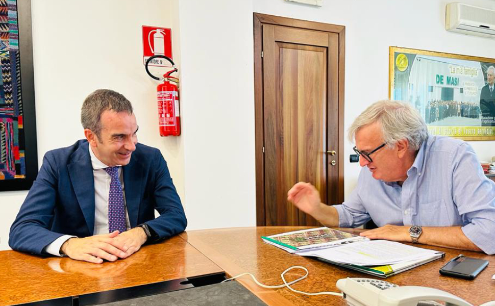 Occhiuto incontra De Masi