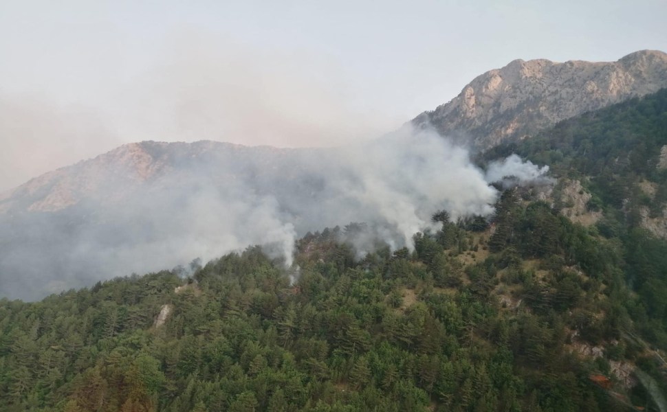 incendio pollino (2)