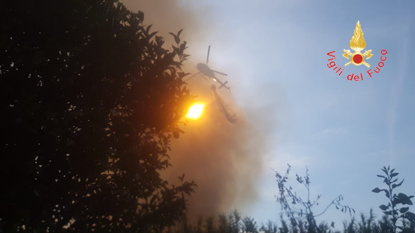 Vasto incendio di vegetazione: il rogo colpisce macchia mediterranea e canneti 57 incendio vegtazione
