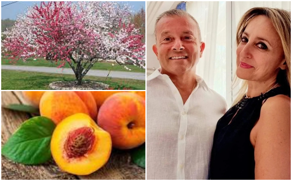 pesche-san-lorenzo-del-vallo