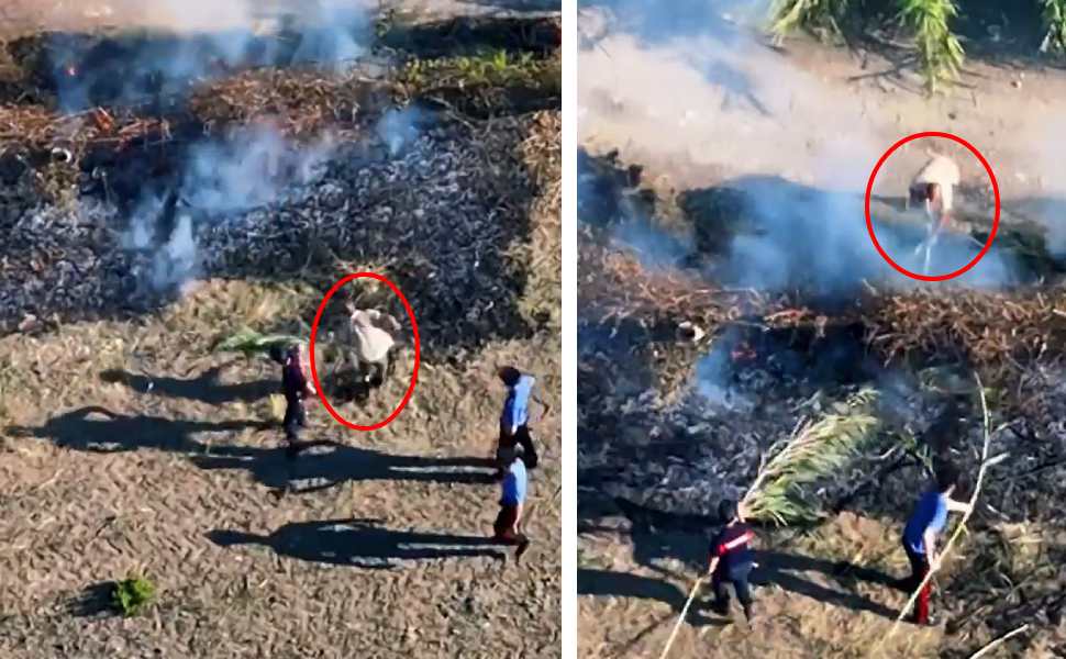 piromane tortora carabinieri