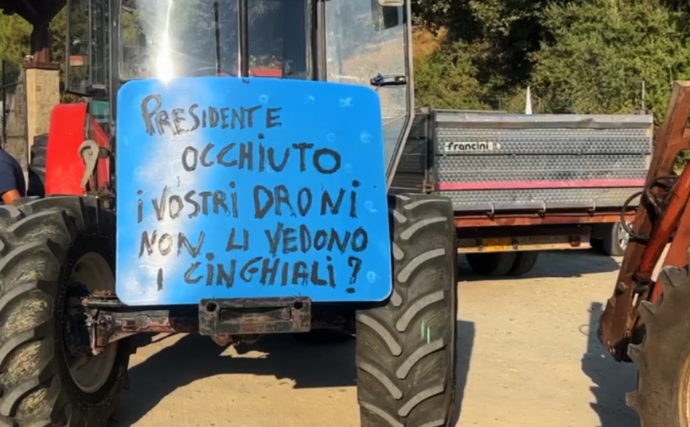 protesta trattori cinghiali 106 jonica