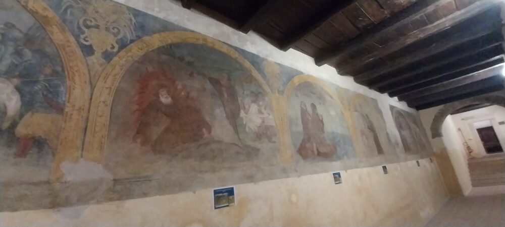 20230908 215858 scaled