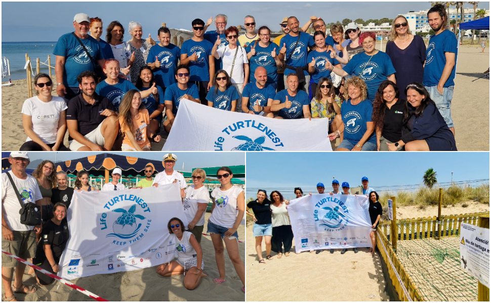 Life Turtlenest - tartarughe marine 02