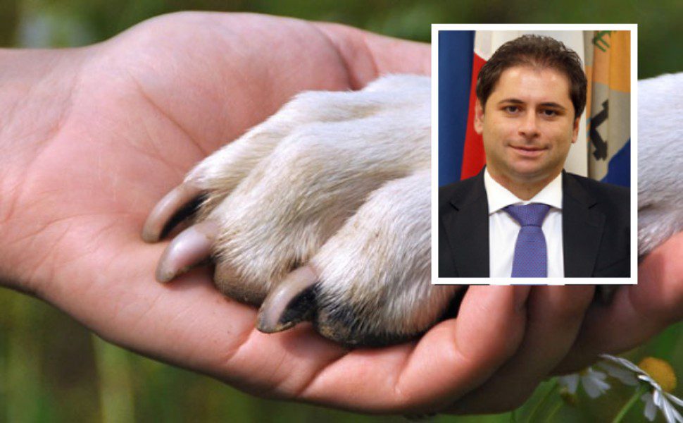 Animali affezione - Antonio Montuoro