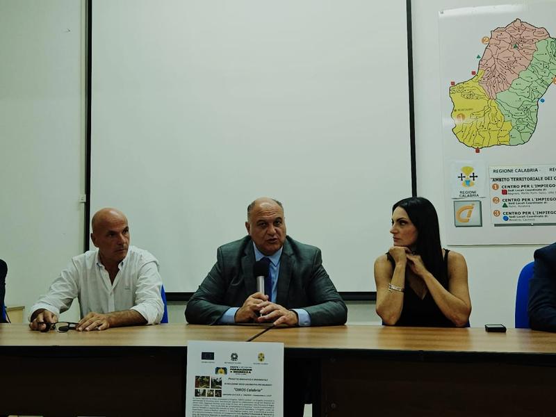 assessore calabrese