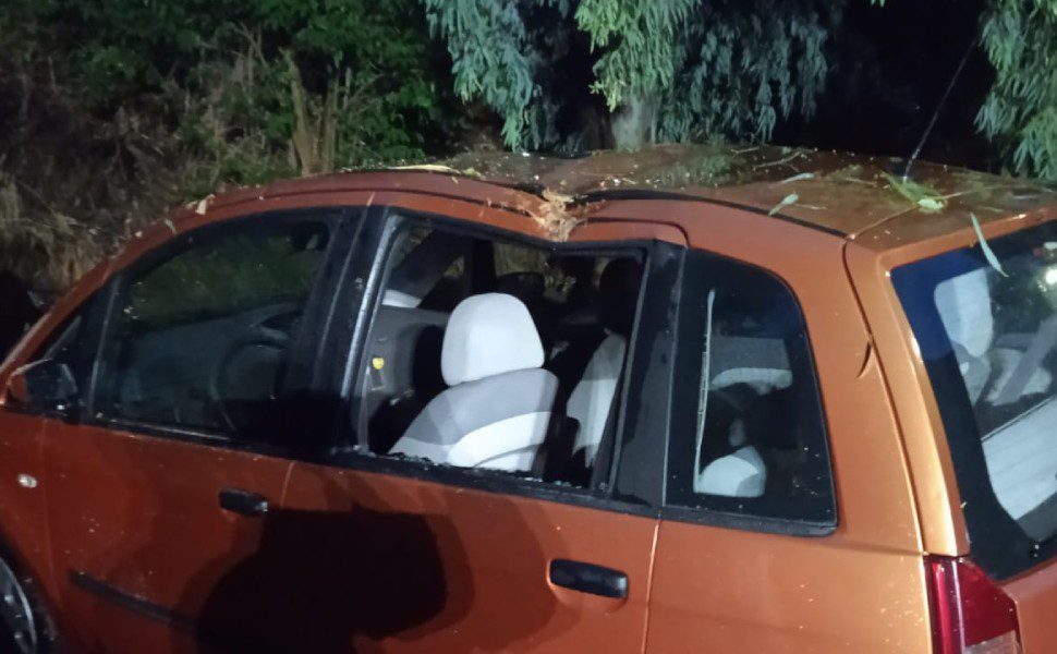 danni crotone maltempo vento 05