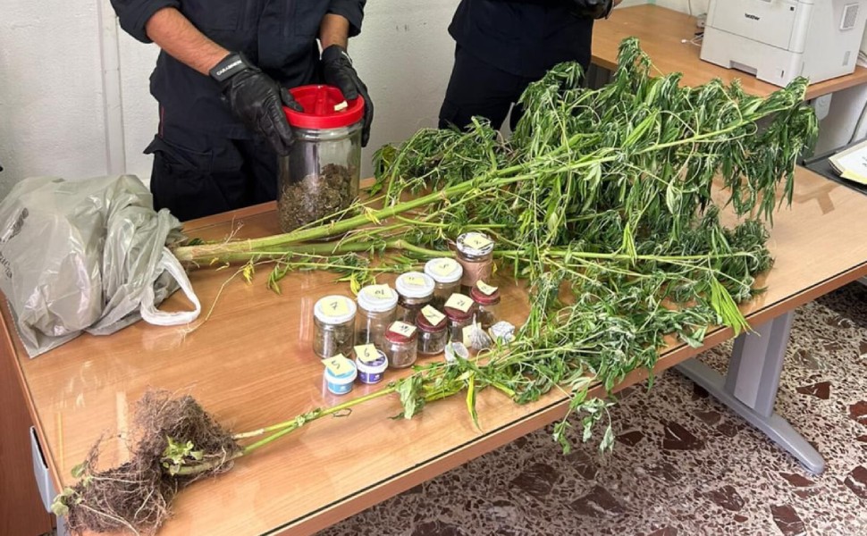 droga saracena carabinieri