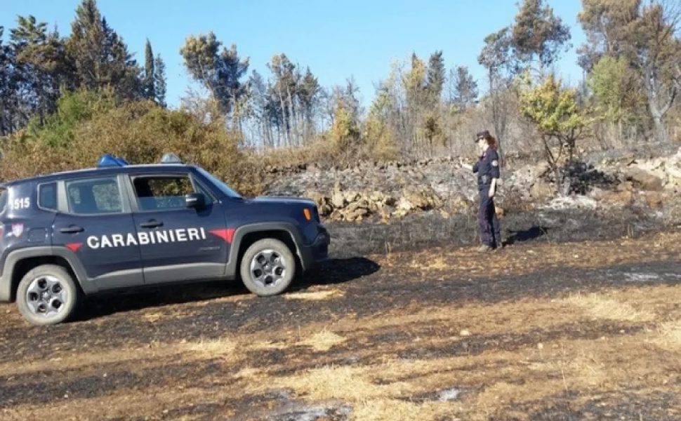 Tenta di appiccare incendio in un bosco con un accendino: arrestato un pensionato 51 incendio-a-san-mango-dacquino