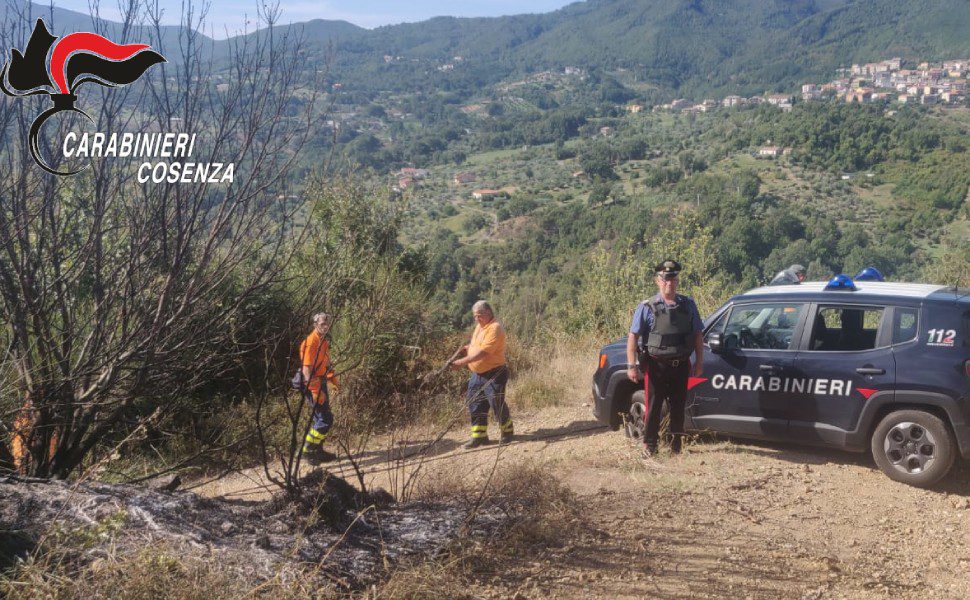 Piromani arrestati a Fagnano Castello, in fumo 4 ettari macchia mediterranea 51 incendio fagnano carabinieri