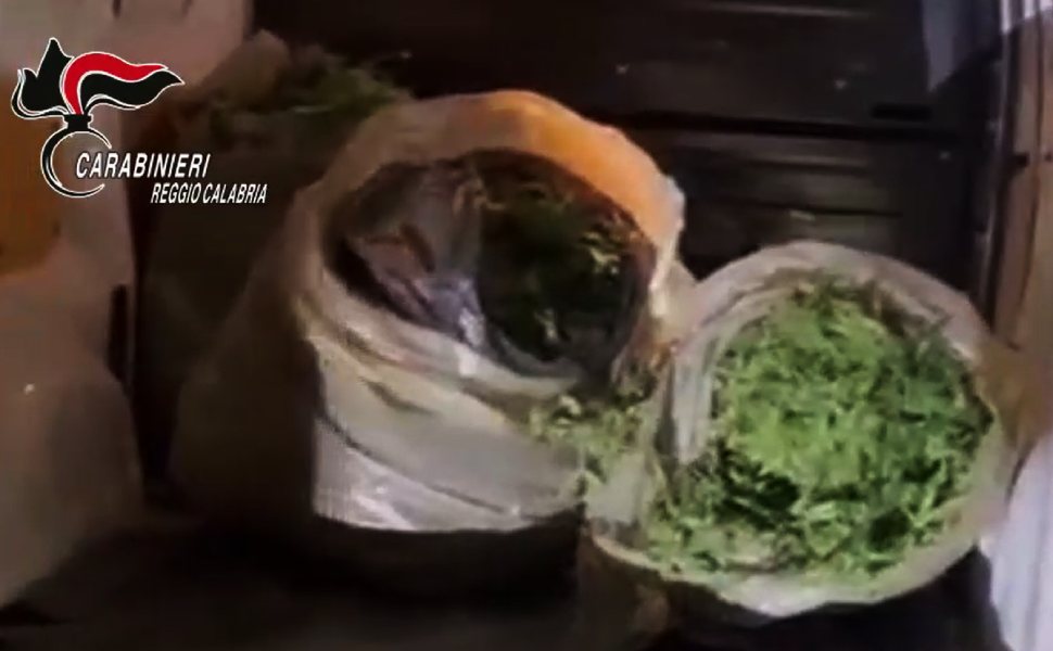 72 chili marijuana furgoncino