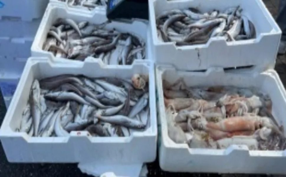 Commercio abusivo occupazione di suolo