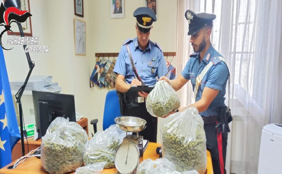 Lattarico: ai domiciliari per droga, beccato in casa con oltre cinque chili di marijuana 51 lattarico droga