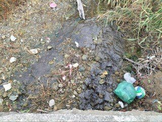 Belvedere Marittimo, rifiuti nei pressi di un torrente: copertoni, spazzatura e acqua stagnante 54 belvedere torrente rifiuti acqua stagnante 2