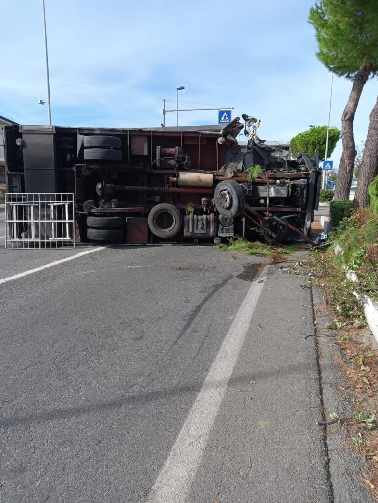 Paura sulla Statale 18, camion si ribalta a Santa Maria del Cedro: ferito il conducente 53 camion su statale 18
